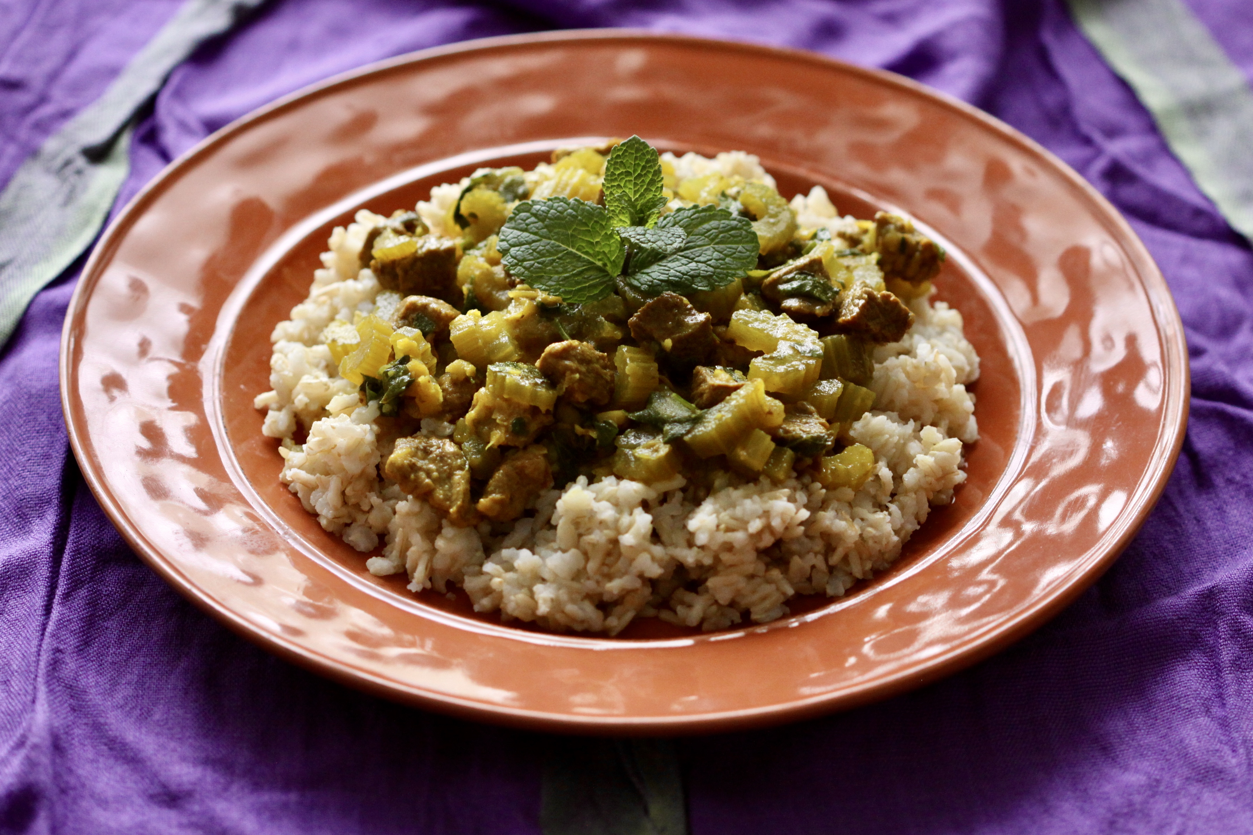 Stew and rice on a plate