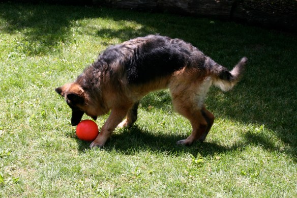 A rare slightly athletic member of the Amerson clan