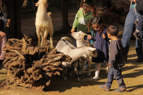 The kids...haha, pun!