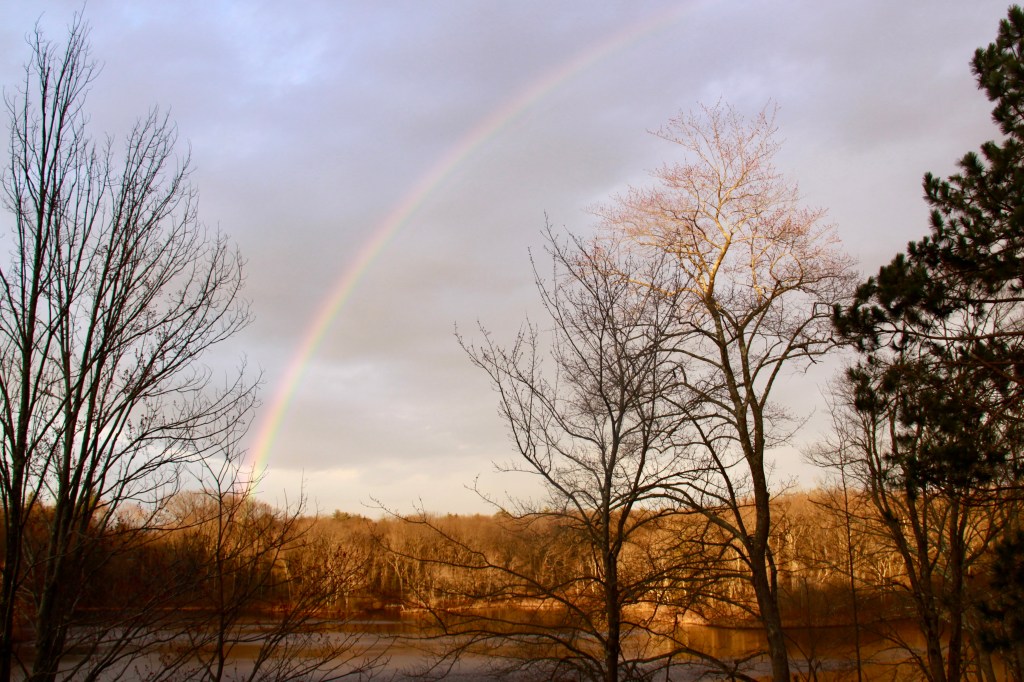 A rainbow stands against a cloudy sky. Below it is a lake surrounded by bare trees.