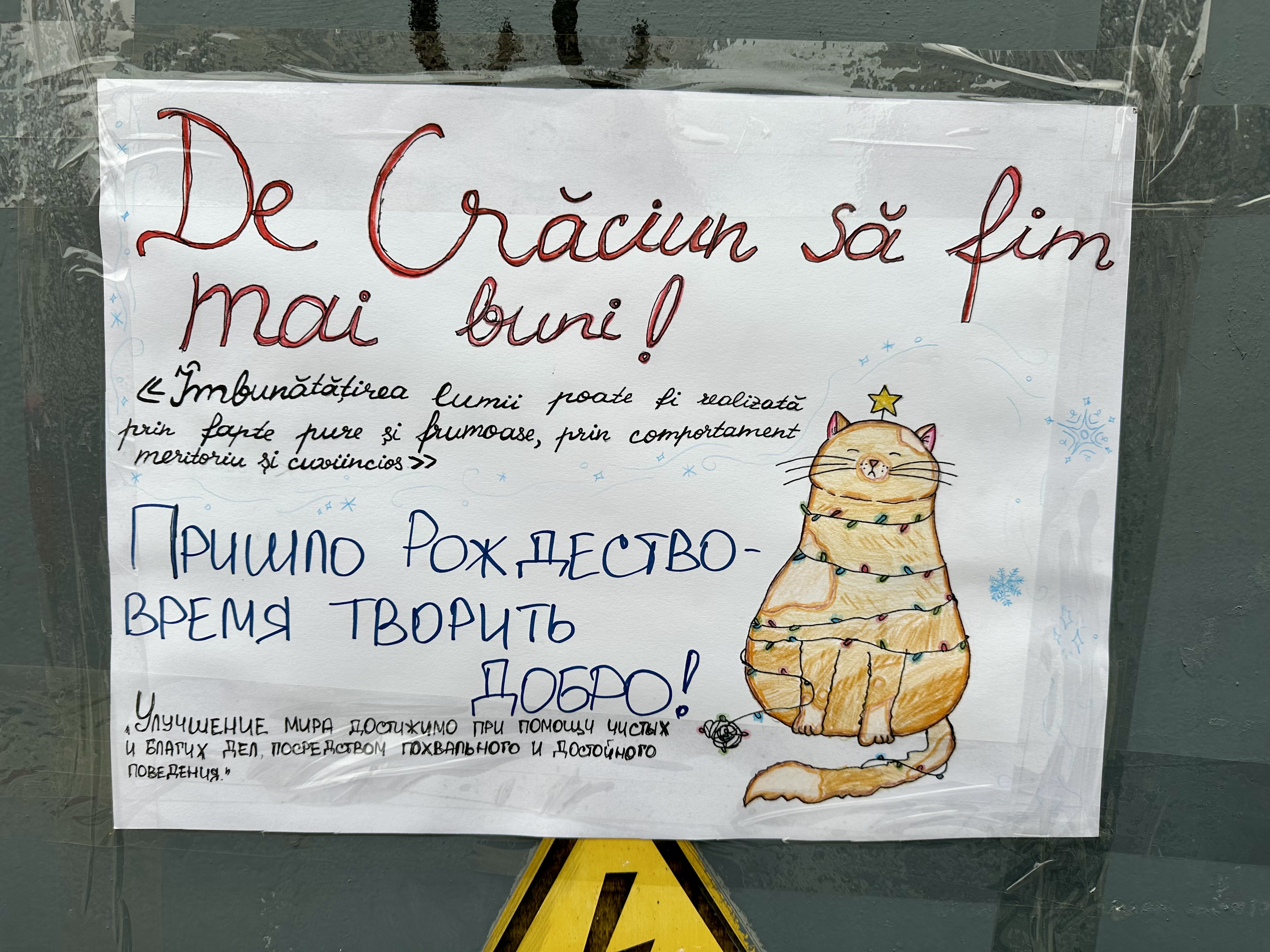 A handmade sign taped to an outdoor wall features a cat wrapped in Christmas lights.