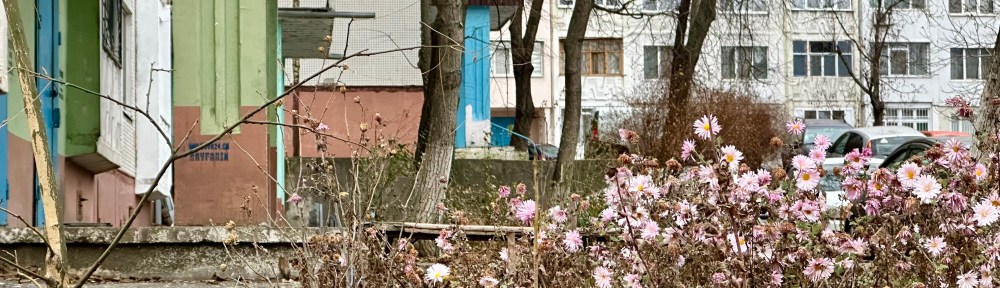 Pink flowers emerge from tangled dead stems in front of large concrete residential buildings.