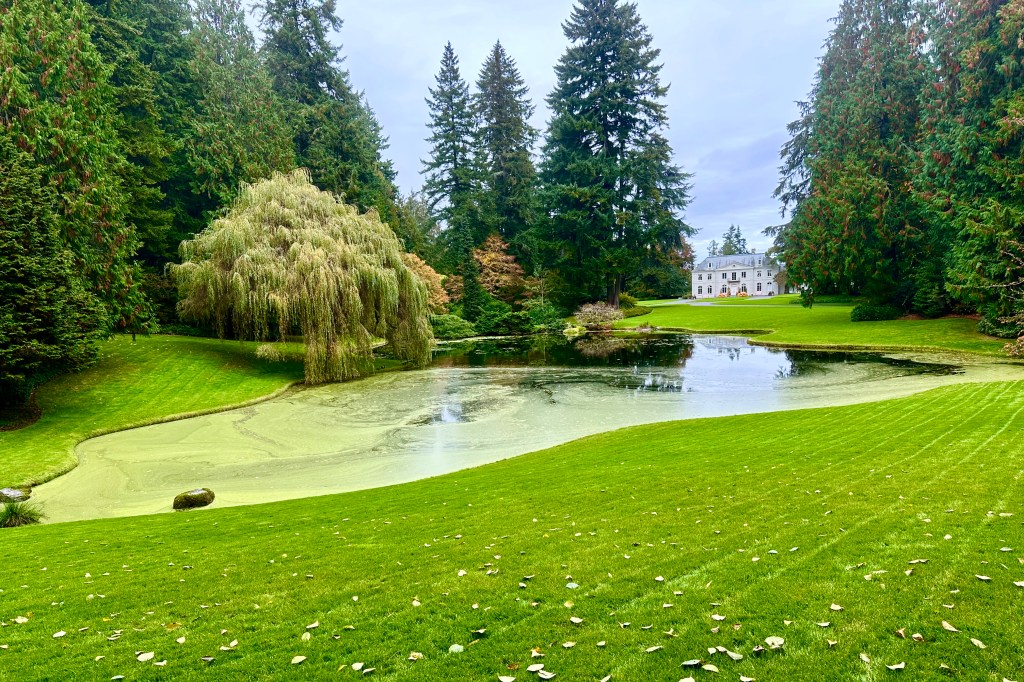 A weeping willow hangs over a pond surrounded by a manicured lawn. In the distance stands a mansion.