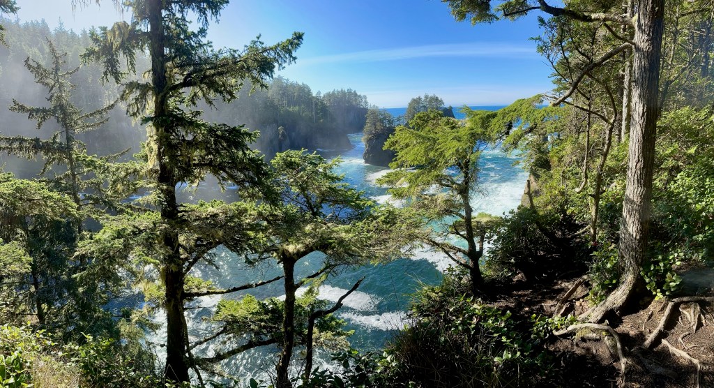 Tall trees stand on a cliff. Below is teal water. Above is blue sky.