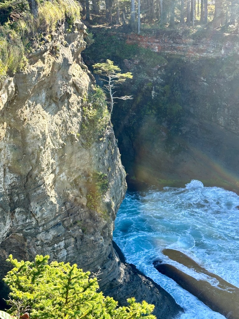 A tree clings to a steep cliff above churning water.