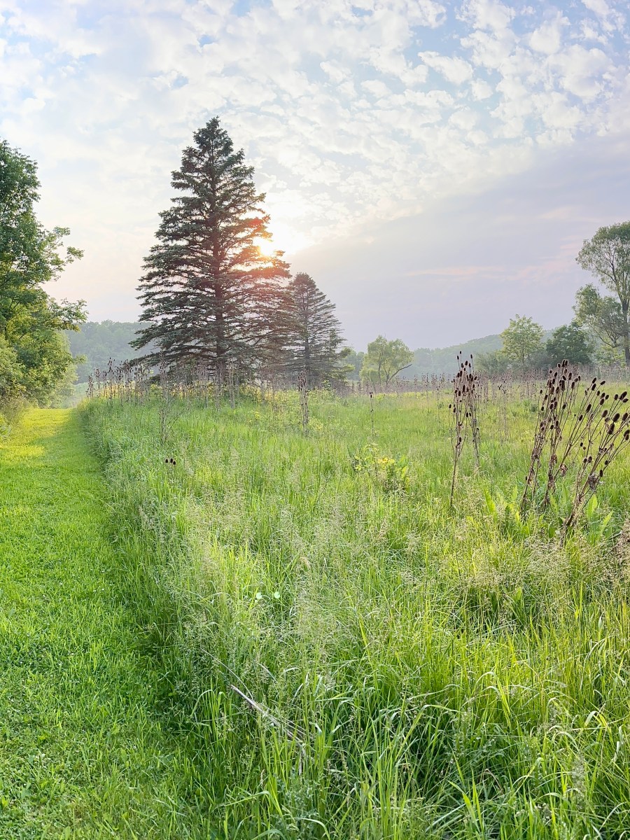 Eras, Geological and&nbsp;Personal