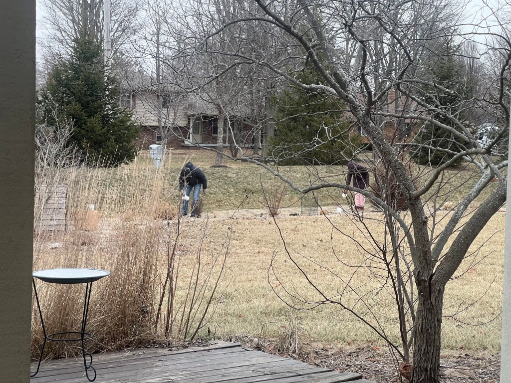 Two people sow seeds in a suburban yard.