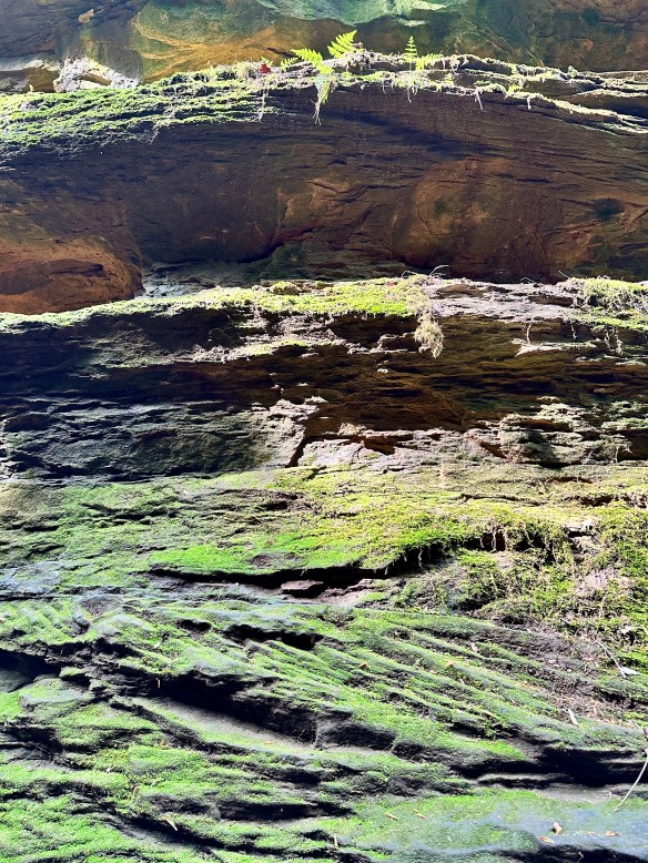 The stone walls of Rocky Hollow
