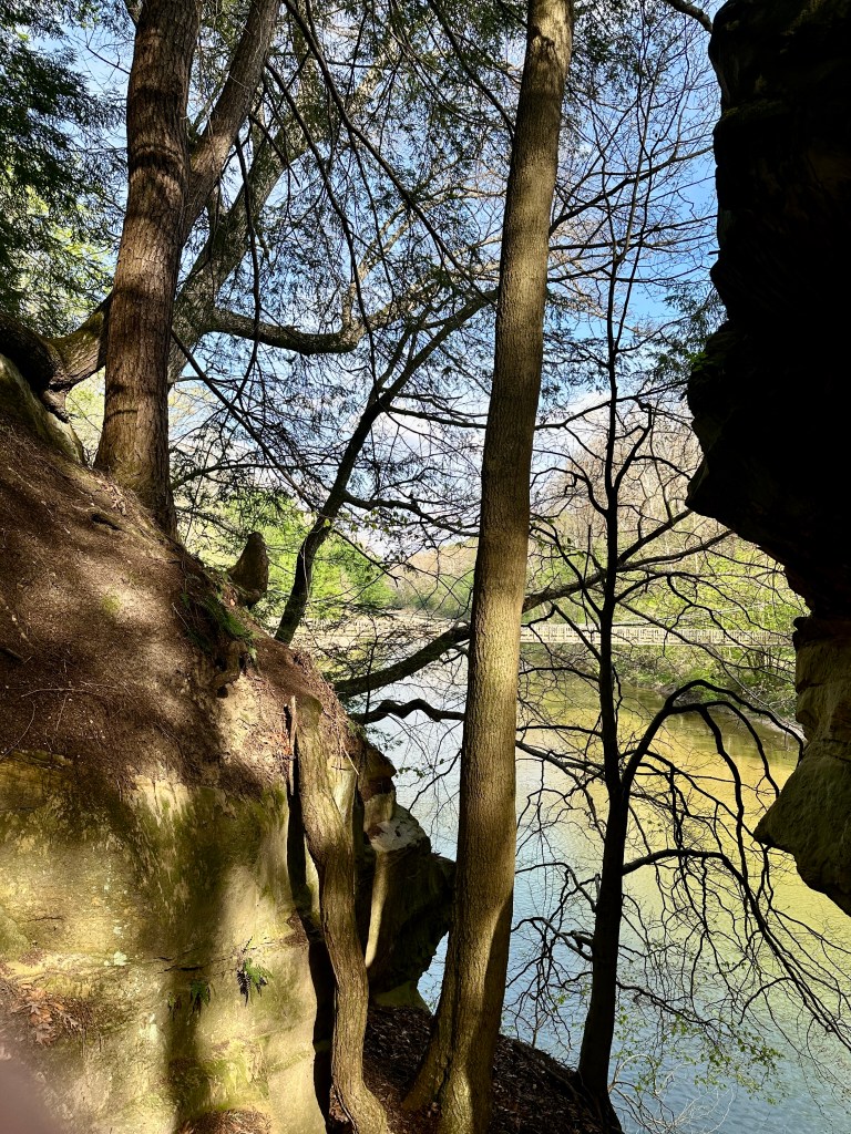 A creek behind trees and cliffs.