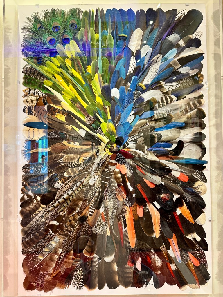 Artwork made of feathers from many birds arranged in a radial pattern.