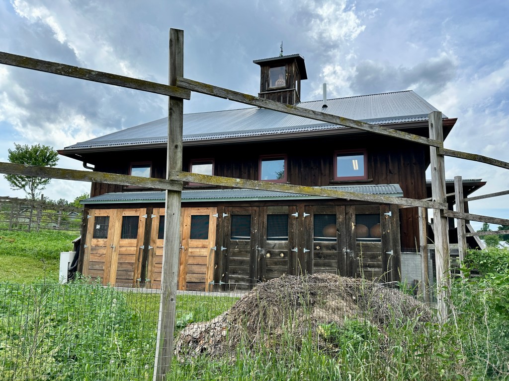 Large gourds are seen in the windows of a rustic house in the countryside.